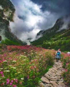 Valley-of-Flowers-Small