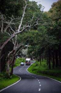 Wayanad-Kerala-Small