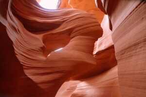 antelope-1808032_640