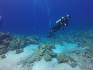 dive-1149013_640
