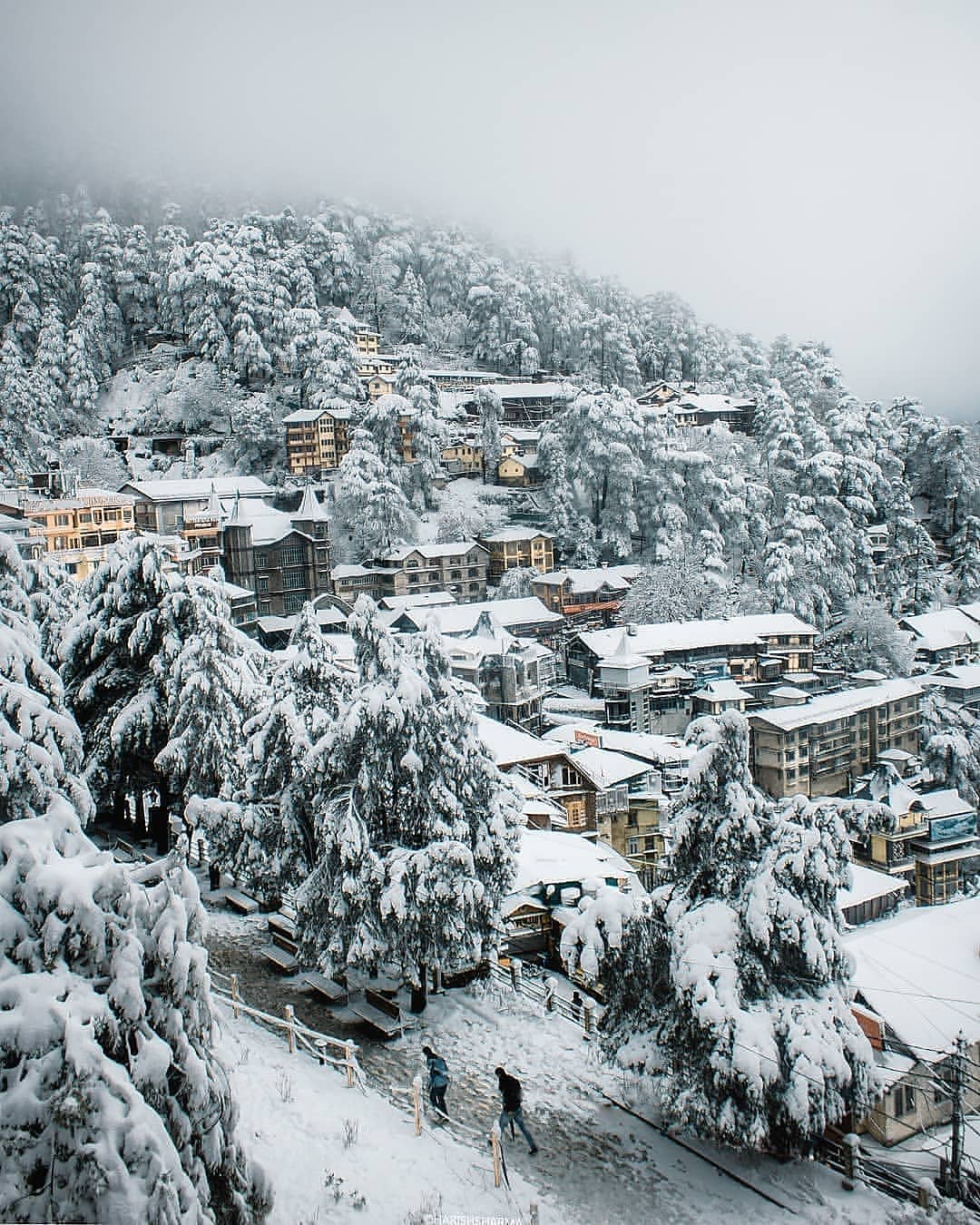 Top 10 Winter Destinations in Himachal Pradesh