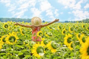 sunflowers-3640938_640-2
