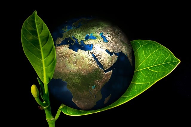 How to Participate in Earth Conservation