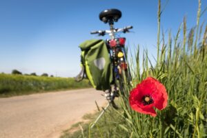 to-go-biking-5178398_640