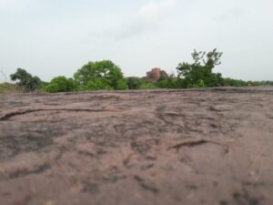20180708_163651-Small