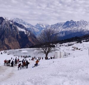 Auli-Small