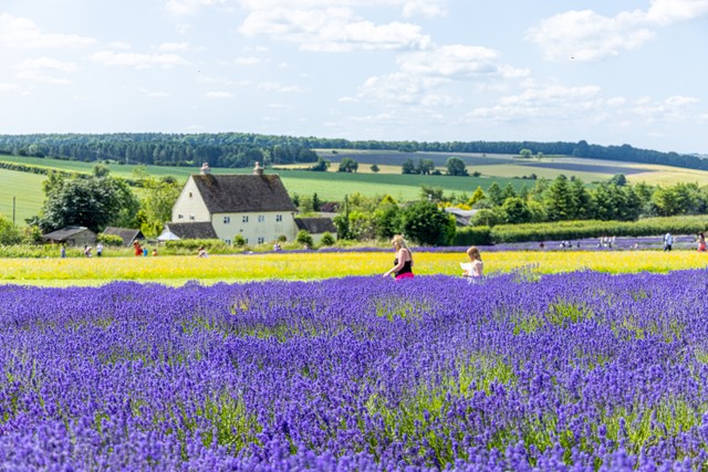 Top 10 Flower Valleys In The World