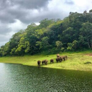 Most Visited National Parks in India