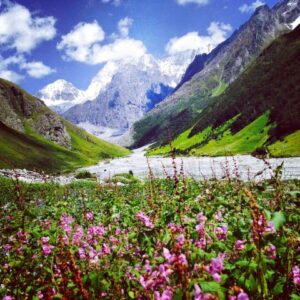 Valley-of-Flower-Small