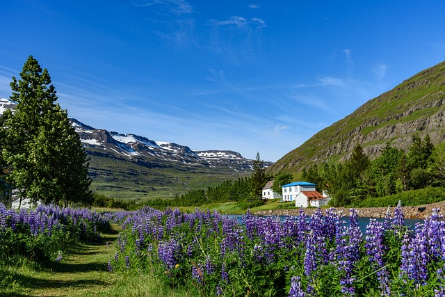 Top 10 Flower Valleys in the World
