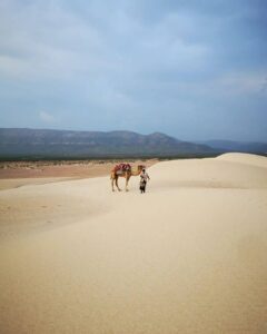 island-socotra