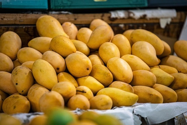 Delicious Mango Varieties Across the World
