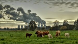 pxclimateaction-7129877_640