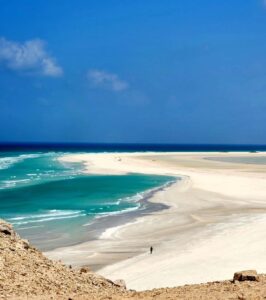 socotra