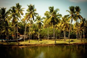 Top 12 Destinations in South India