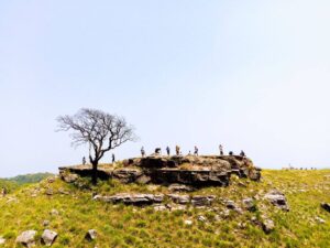 Balpakram-National-Park-1