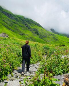 Valley-of-Flower-Small