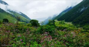 Valley-of-Flowers-National-Park-Uttarakhand