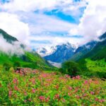 10 Best Nature Destinations in North India to Explore in March 2025