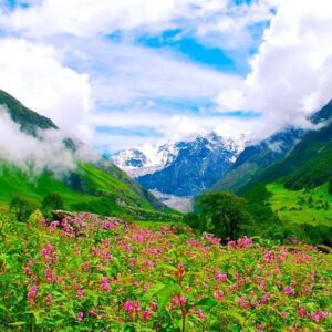 Valley of Flowers, Uttarakhand