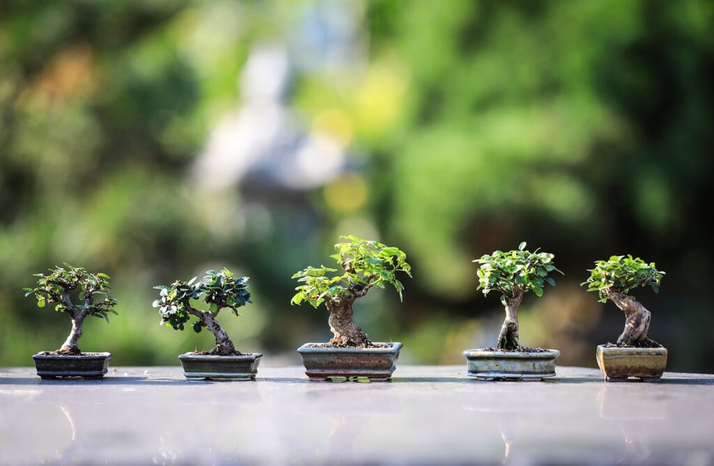 Air-Purifying Plants Worldwide