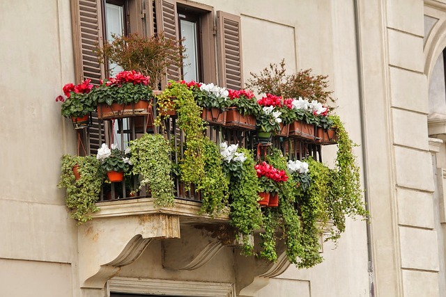 Beautiful Flowers for Small Balcony Gardens