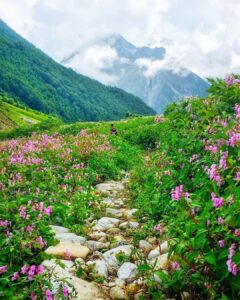 Natural Phenomena in India