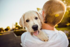 10 Animals That Can Understand Human Emotions