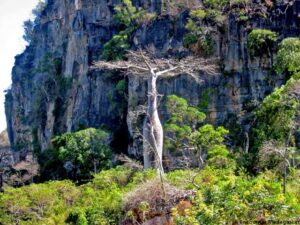 Montagne d’Ambre National Park (Small)