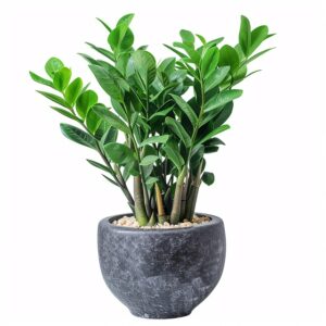 green-8544857_640